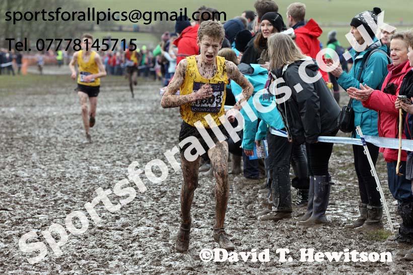 Boys under-15s 2018 British Inter Counties Cross Country Champs., Prestwold Hall, Loughborough. Photo: David T. Hewitson/Sports for All Pics